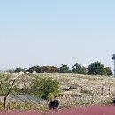 띵까띵까 이미지