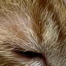 광교 우리들동물병원 이미지