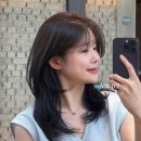 하울인테리어 | 신촌 미용실, 인생 머리 찾은 찐 후기! 하울 바이 아이디헤어 방문기