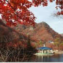 내장산식당 이미지