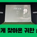 프렌즈스크린율동점