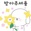 도그 어바웃 이미지