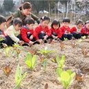 이창우농장 이미지