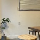 에이씨오(ACO) 이미지