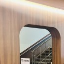 감자(GAMJA) | 춘천 감자아일랜드 솔직 후기｜해산물 보일링에 치즈 피자까지