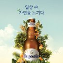 호가든 연합뉴스