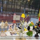 푸드포퍼피 이미지