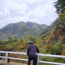 하옥산장식당 이미지