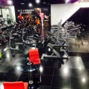 바이칼휘트니스 이미지