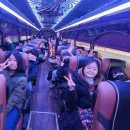 용인대 새빛 태권도장 이미지