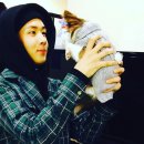 원식 Daum카페