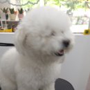 주몽샵