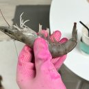 지원이네찜 | 소래포구 지원이네 , 대하 가격