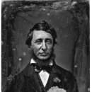 소로3-12 이미지