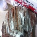 화석(규화목) 이미지