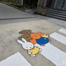 카페수국 - 순천시 하대석길 72 | [거제]야호 미피카페 수국에디션 구매 후기