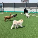 사랑한다, 멍 이미지