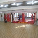 연세복싱 이미지