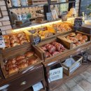 아라한별약국 이미지