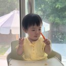 (주)지가디언 | [육아] 이유식 준비물 유아식 준비 용품 실제 사용 후기 내돈내산