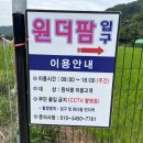 원더팜 | [급하게 읽는 후기] 정안 계곡 원더팜 (공주)