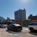 동백코스(서천-군산) 이미지