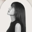스텔라뷰티 이미지