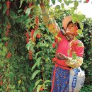 도깨비농촌체험휴양마을 이미지