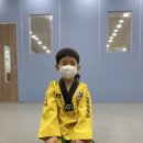 용인대석사청룡태권도 이미지