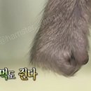 아이러브프라이
