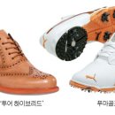 화사하다 이미지