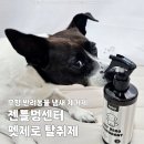 멍이펫 네이버블로그