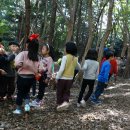 숲사랑유치원 이미지