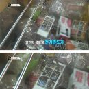 뽑기의 달인 이미지