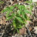 노루땅농장 이미지