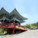 [경주펜션] 오션뷰 스파객실이 있는 루트94풀빌라펜션 후기!