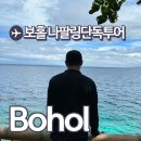 보홀 나팔링투어 셀프 투어 비교 일정 정어리떼 후기