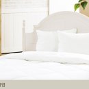 마산이불 네이버블로그