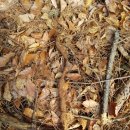 예천농장 이미지