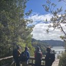 2026년 10월 24일 Suspension Bridge Track-Wairoa Loop Track 이미지
