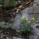 성북초등학교 이미지