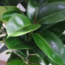 분당제일공인중개사사무소 이미지