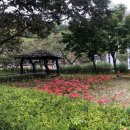 안의면사무소 | 경남 경북 경치 명소 | 함양군 농월정, 거창군 수승대, 수승대 거북바위, 안동시 월영교 | 경남 여행 가...