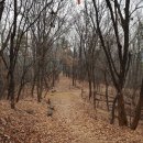 온정심리상담소 | 산만한아이, 집중력부족, 주의력결핍과잉행동(ADHD)는 이렇게 치료하라-강남,목동,인천,수원,부산,대구...