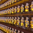 이화사 | 이화로운 인등기도 안내 및 후기 모음