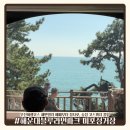 송정관광호텔(송정호텔) | 부산여행코스 해운대블루라인파크 미포정거장 | 해변열차 예매부터 청사포·송정 코스까지 꿀팁