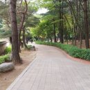 충숙근린공원 이미지