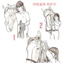 마스타승마클럽 이미지