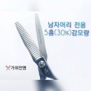지마스 이미지