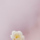 물빛피부과의원 이미지